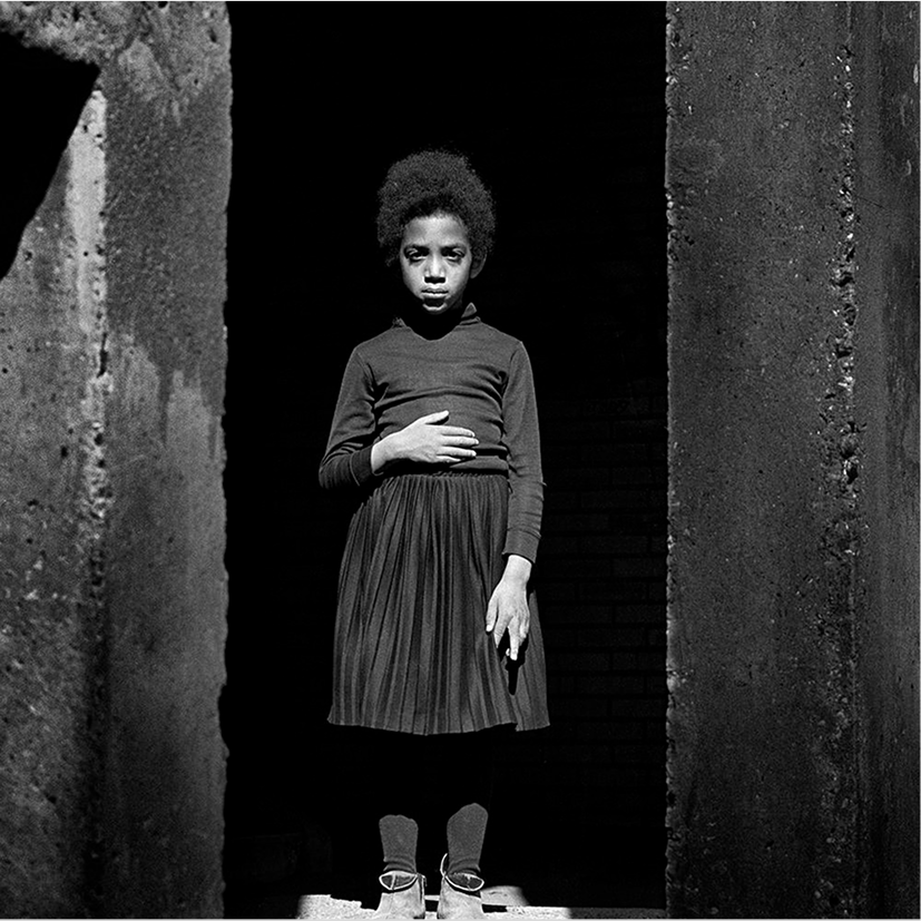 Portrait de la serie