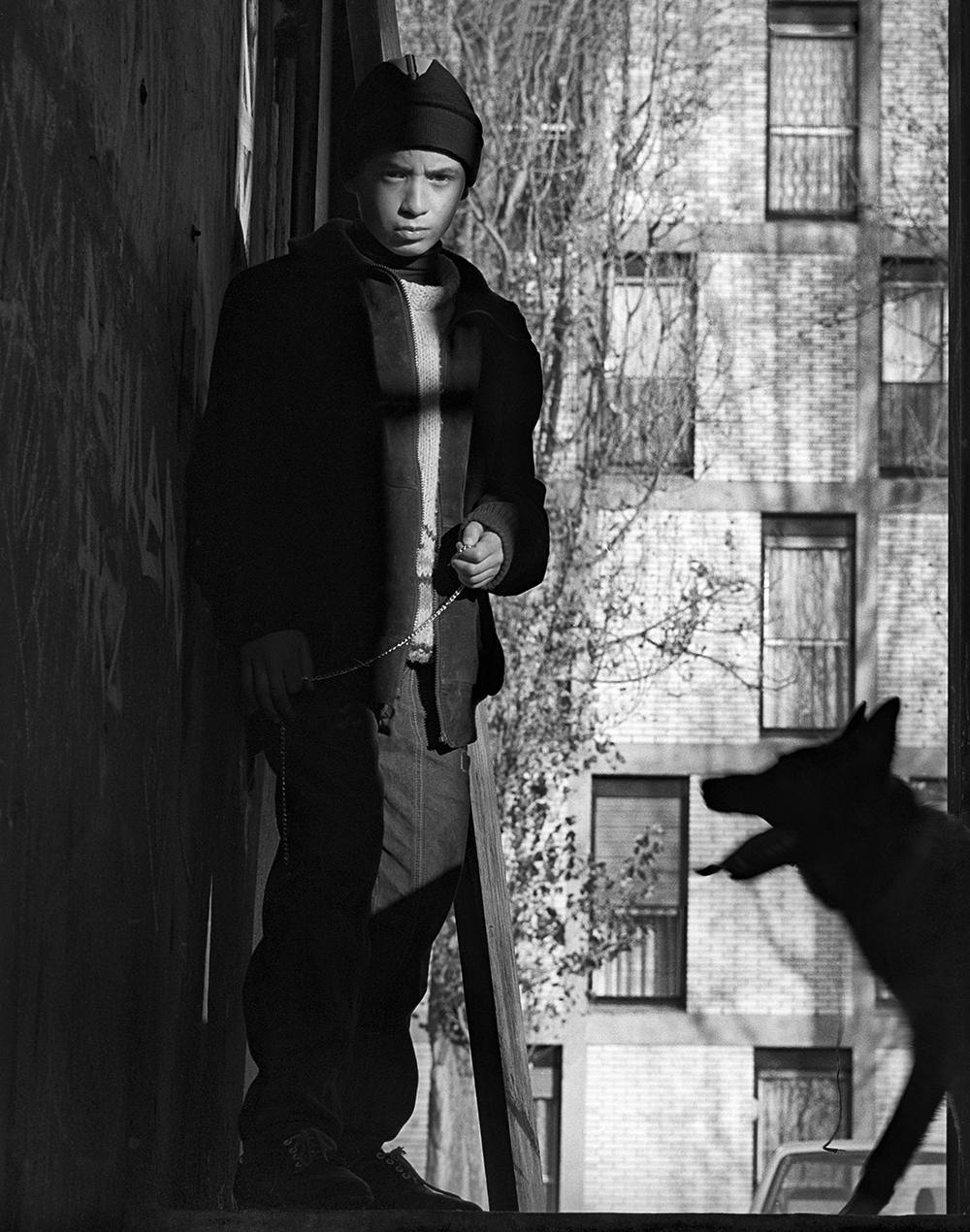 image persan-beaumont