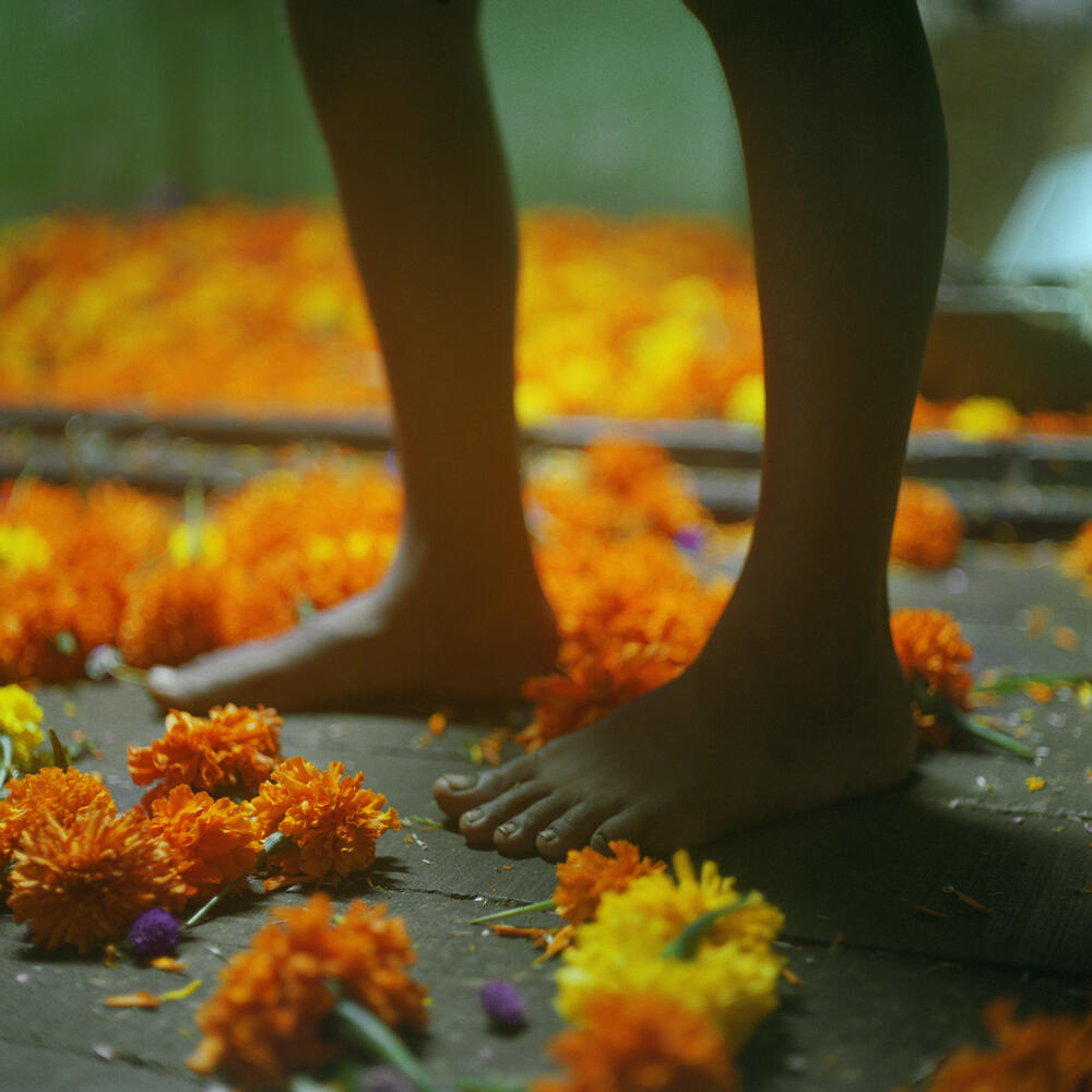 photo illustrative series